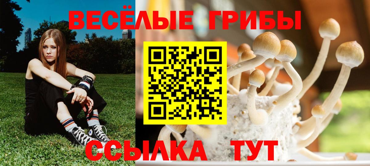 Псилоцибиновые грибы ЛСД  магазин  наркотиков  Кашира  Вход с VPN 