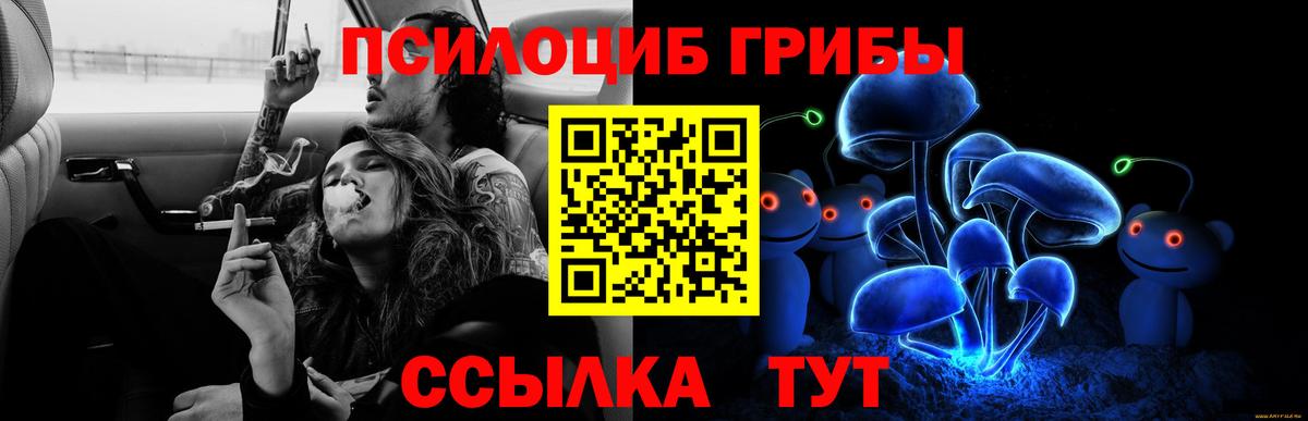 Псилоцибиновые грибы MAGIC MUSHROOMS Кашира